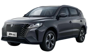 Livan X6 Pro (2023-н.в)